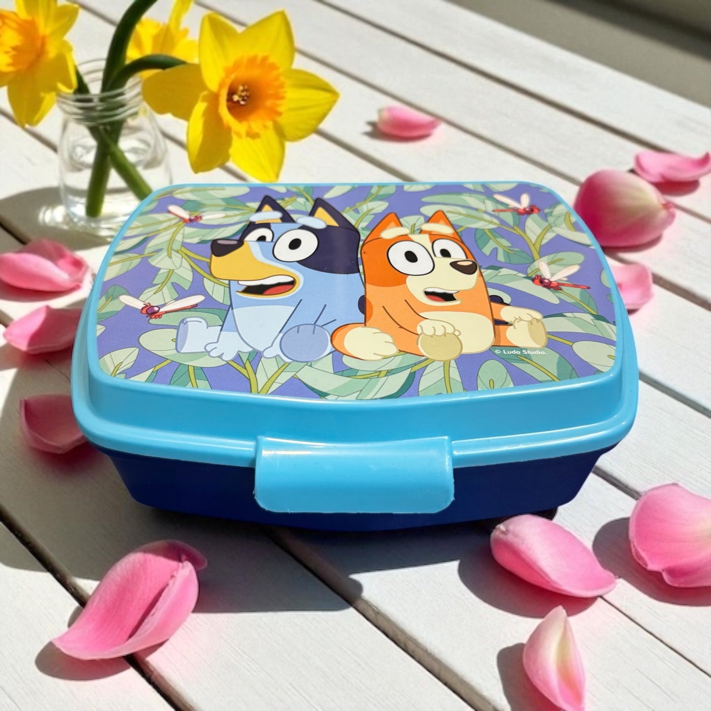 Candy Sandwichbox 200g